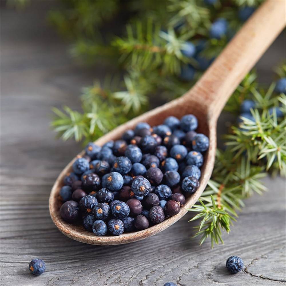 Pure Juniper Berry Essential Oil 15ml, 30ml