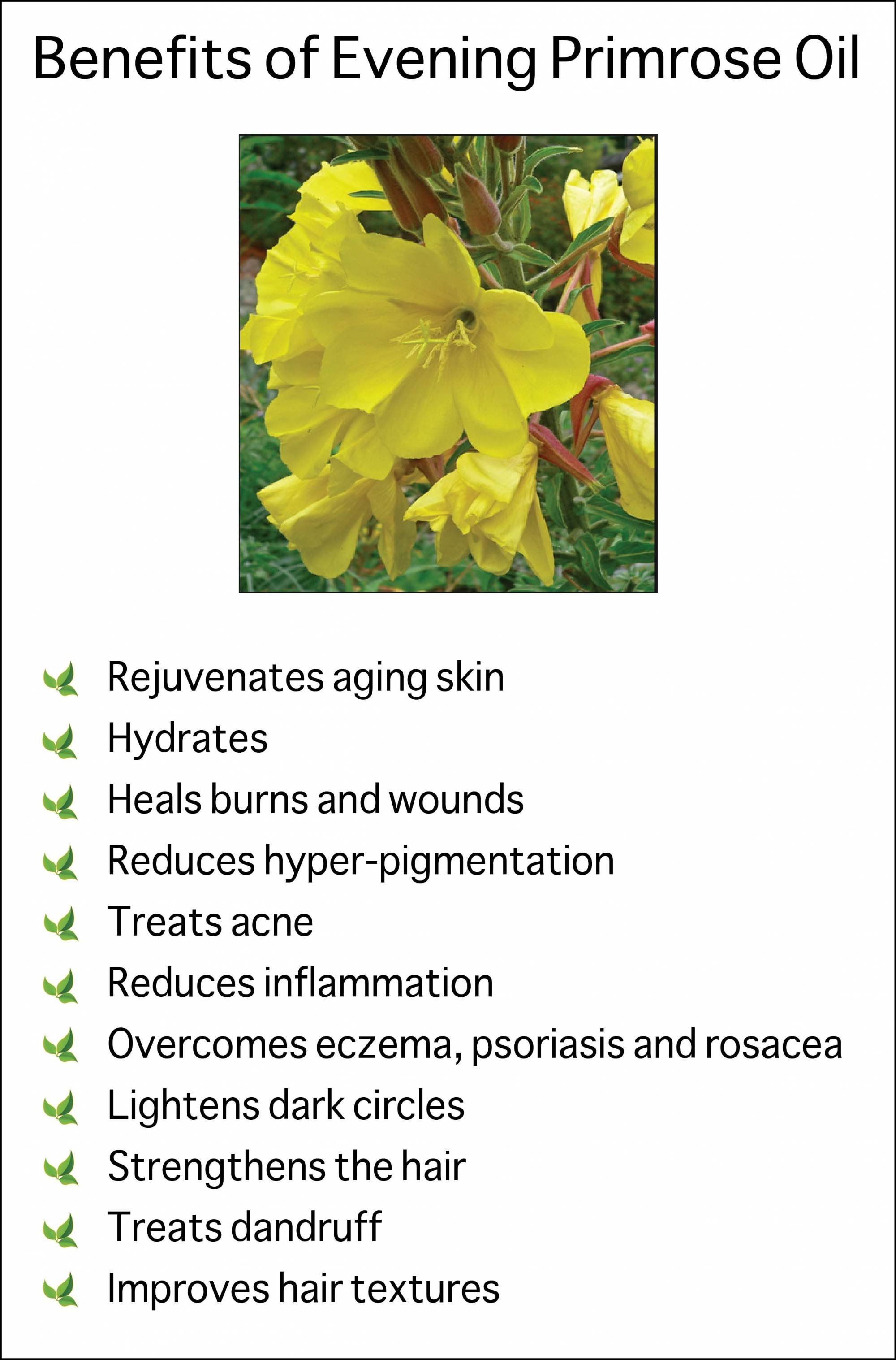 Pure Evening Primrose Oil