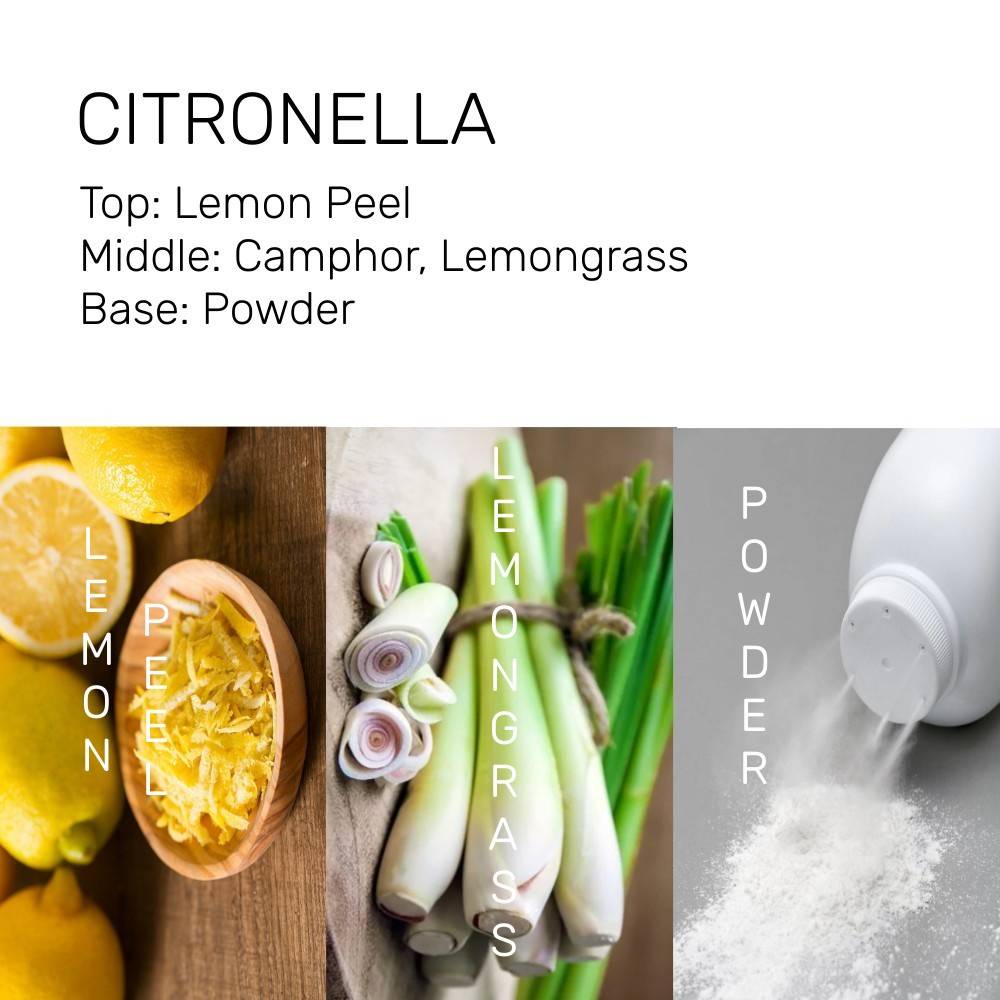 Citronella 50ml Candle/ Cosmetic/ Perfume Fragrance Oil