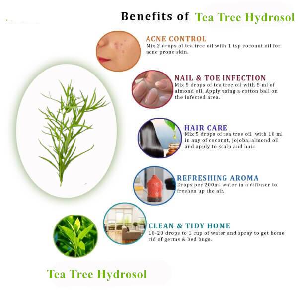 IKO Tea Tree Hydrosol