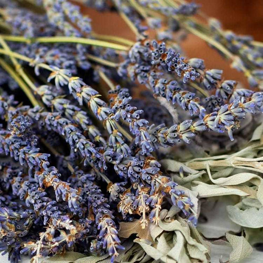 White Sage Lavender Fragrance Oil 10ml