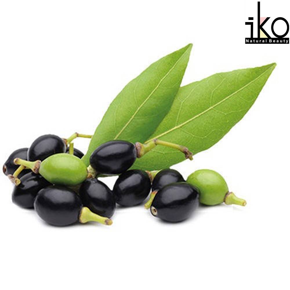 Crude Laurel Berry Oil 500ml
