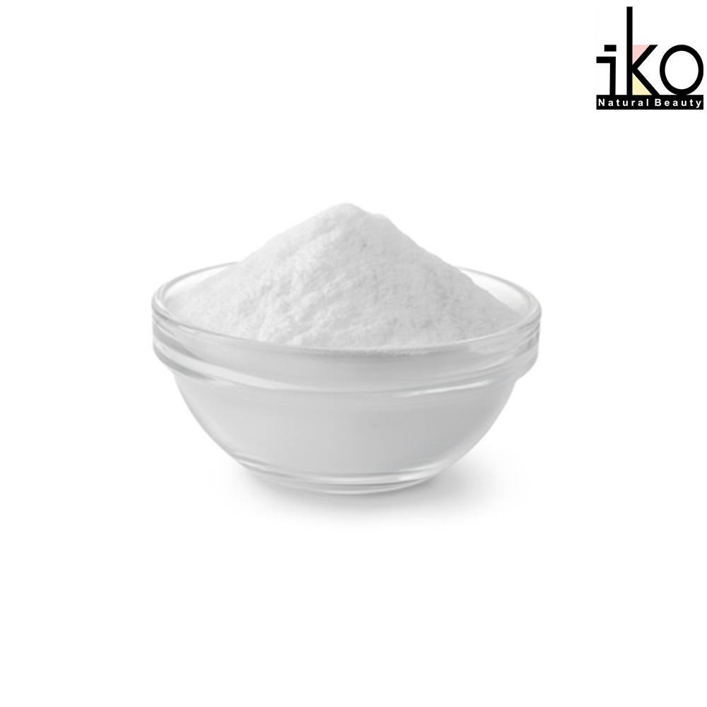 Monohydrate Citric Acid 1kg + Sodium Bicarbonate 1kg