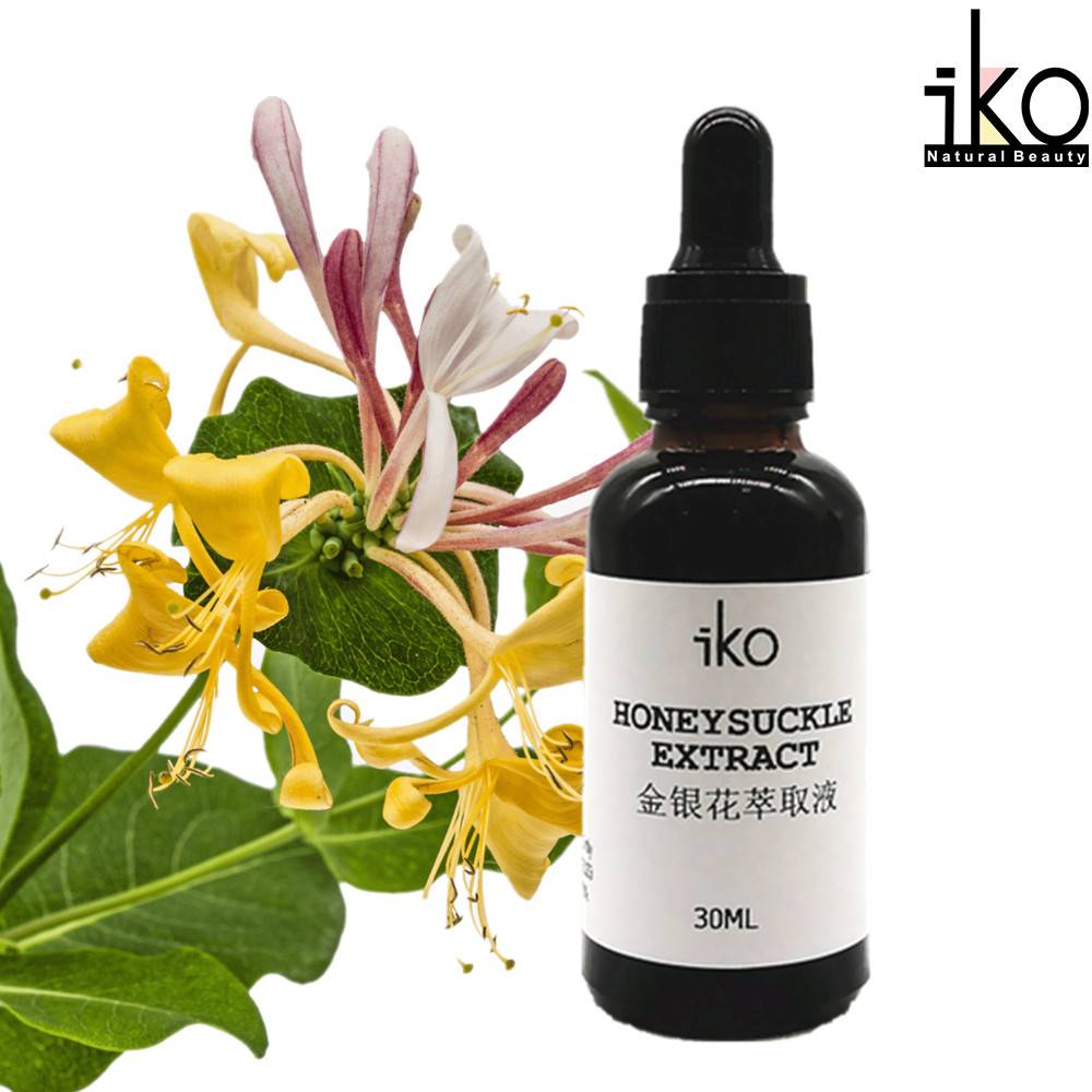 Honeysuckle Extract 30ml